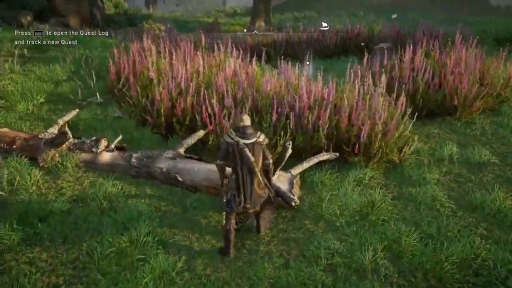 Zaraz obok rzeki jest niewielki teren wokół którego rosną różowe rośliny - Assassins Creed Valhalla: Mapa skarbów - Essexe, sekrety, lokacje - Assassins Creed Valhalla - poradnik do gry