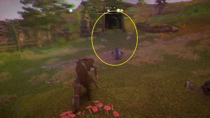 Teraz czas na pogoń za zwierzątkiem - Assassins Creed Valhalla: Muchomor - Ledecestrescire, sekrety, lokacje - Assassins Creed Valhalla - poradnik do gry