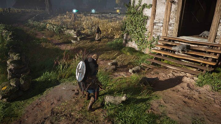 Otwórz budynek, a koty wybiegną na pole i zaczną zabijasz szczury rozwiązując problem ze szkodnikami - Assassins Creed Valhalla: Opowieść o kocich wojownikach - solucja - Assassins Creed Valhalla - poradnik do gry