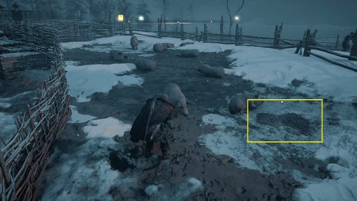 Zanim zaczniesz szukać księgi udaj się do świń - Assassins Creed Valhalla: Zdolności - Hordafylke, sekrety, lokacje - Assassins Creed Valhalla - poradnik do gry