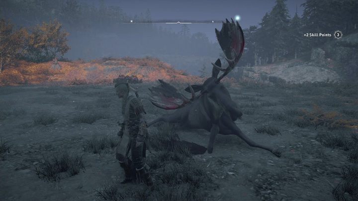 Za pokonanie zwierzęcia otrzymasz jego głowę oraz 129 skór - Assassins Creed Valhalla: Legendarne zwierzę - Vinlandia, sekrety, lokacje - Assassins Creed Valhalla - poradnik do gry