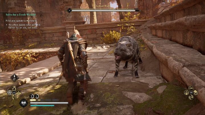 Słabymi punktami twojego przeciwnika są przednie łapy - Assassins Creed Valhalla: Legendarne zwierzę - Lincolnscire, sekrety, lokacje - Assassins Creed Valhalla - poradnik do gry