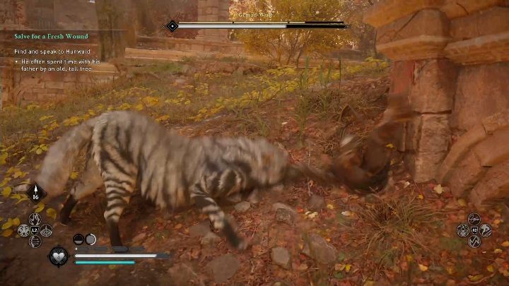 Uważaj przede wszystkim, aby nie dać się schwytać - Assassins Creed Valhalla: Legendarne zwierzę - Lincolnscire, sekrety, lokacje - Assassins Creed Valhalla - poradnik do gry