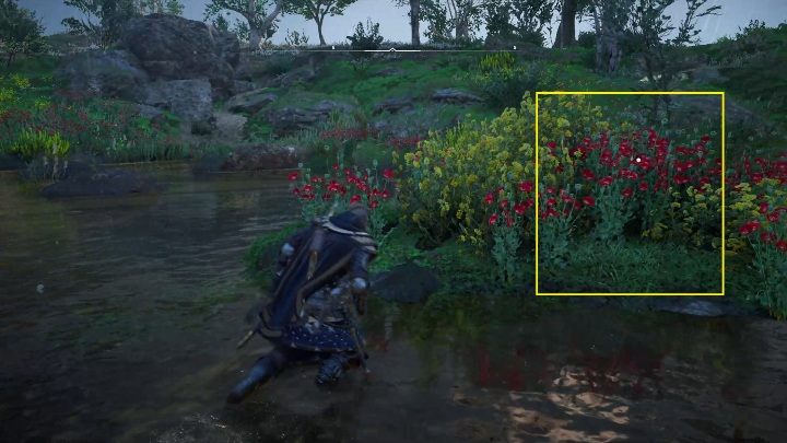 Schemat leży pomiędzy kwiatami, na jednej z małych wysepek na środku jeziora - Assassins Creed Valhalla: Mapa skarbów - Suthsexe, sekrety, lokacje - Assassins Creed Valhalla - poradnik do gry