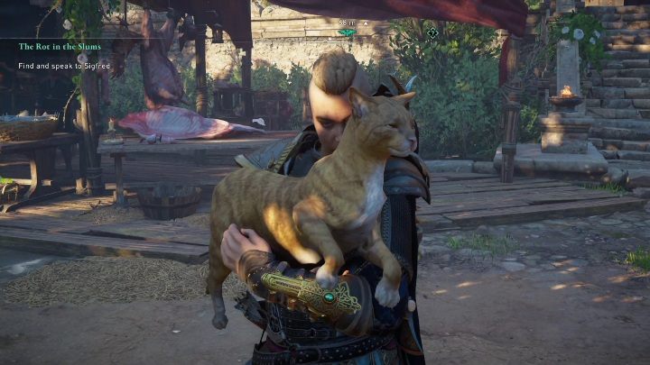 Aby pogłaskać kota wystarczy się do niego zbliżyć - AC Valhalla Oblężenie Paryża: Głaskot - jak zdobyć trofeum, wszystkie koty - Assassins Creed Valhalla - poradnik do gry