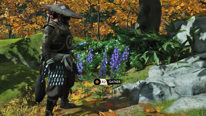 Jednym ze wspomnianych wcześniej wyjątków są fioletowe oraz pomarańczowe kwiaty, za którymi możesz specjalnie rozglądać się od momentu odblokowania dmuchawki dzięki postępom w głównej fabule - Ghost of Tsushima: Crafting - Ghost of Tsushima - poradnik do gry