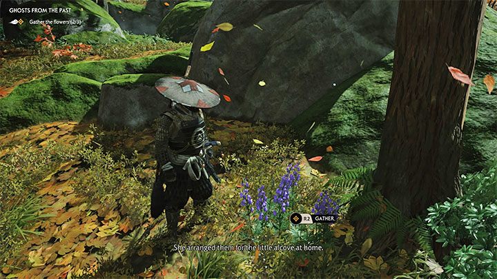 Fioletowych kwiatów na potrzeby odnawiania zapasów zatrutych strzałek - Ghost of Tsushima: Jak zdobyć dmuchawkę? - Ghost of Tsushima - poradnik do gry