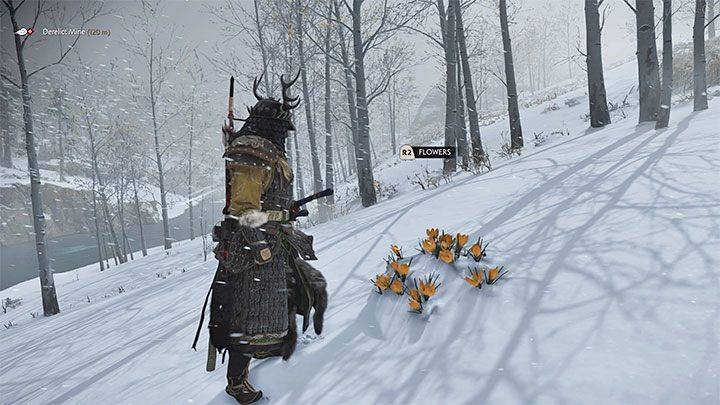 Pomarańczowych kwiatów na potrzeby odnawinia zapasów strzałek halucynacji - Ghost of Tsushima: Jak zdobyć dmuchawkę? - Ghost of Tsushima - poradnik do gry