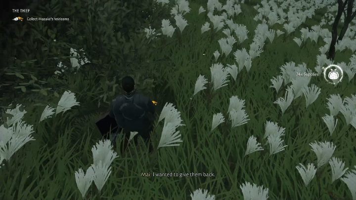 Złodzieje doprowadzą Cię do swojego obozu - Ghost of Tsushima: Złodziejka solucja - Ghost of Tsushima - poradnik do gry