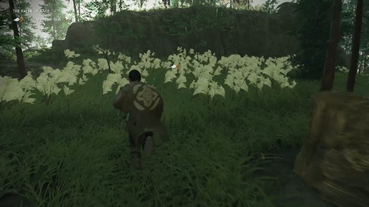 Misja rozpocznie się od rozmowy z Kii - Ghost of Tsushima: Wartość Sake (The Value of Sake) solucja - Ghost of Tsushima - poradnik do gry