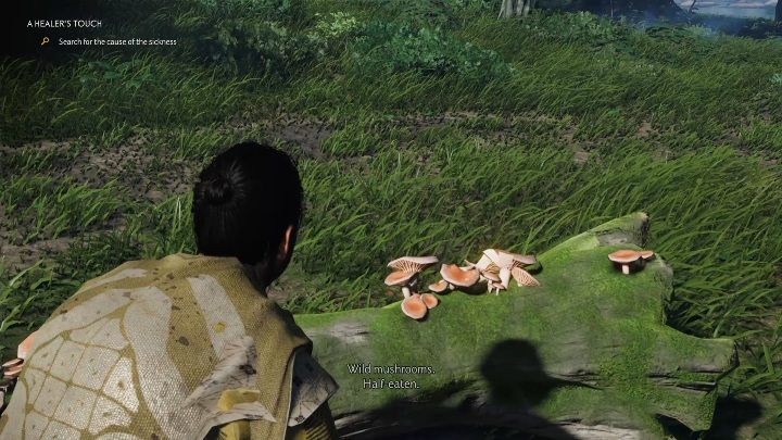 Na dworze rosną dzikie grzyby - Ghost of Tsushima: Uzdrowicielski dotyk (A Healers Touch) solucja - Ghost of Tsushima - poradnik do gry