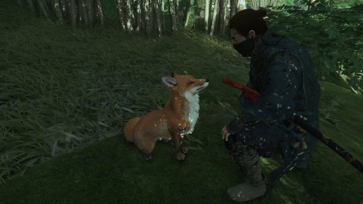 Po pozbyciu się bandytów możesz podejść do jednego wdzięcznych stworzeń i pogłaskać je - Ghost of Tsushima: Boskie zadośćuczynienie (Peace for the Divine) solucja - Ghost of Tsushima - poradnik do gry