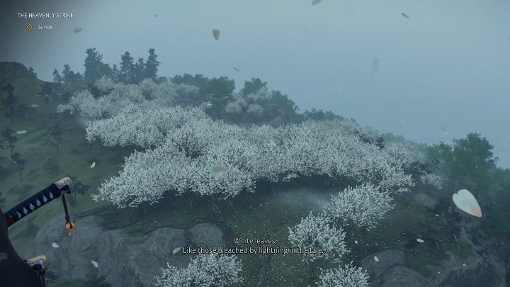 Twoim kolejnym zadaniem jest udanie się na górę i obserwowanie lasu białych drzew - Ghost of Tsushima: Niebiański cios (The Heavenlhy Strike) solucja - Ghost of Tsushima - poradnik do gry