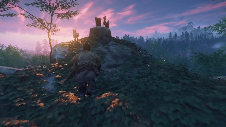 Lisia nora znajduje się zaraz koło ścieżki - Ghost of Tsushima: Izuhara - kapliczki Inari, sekrety, znajdźki - Ghost of Tsushima - poradnik do gry