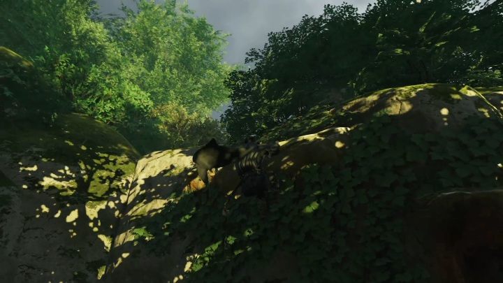 3 - Ghost of Tsushima: Toyotama - kapliczki Shinoto, sekrety, znajdźki - Ghost of Tsushima - poradnik do gry