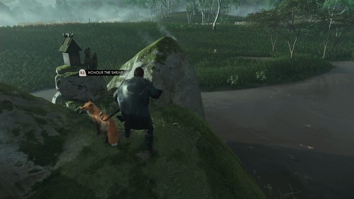 Ta nora lisa leży na bagnistym terenie koło lasu - Ghost of Tsushima: Toyotama - kapliczki Inari, sekrety, znajdźki - Ghost of Tsushima - poradnik do gry