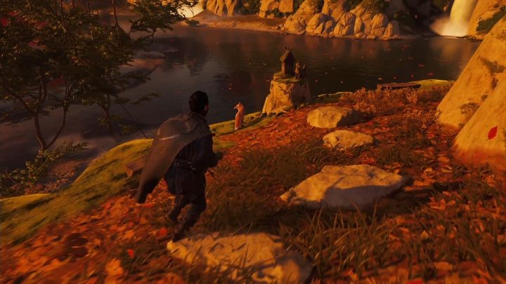 Ta nora lisa znajduje się nad przepaścią, koło drzew pokrytych czerwonymi liśćmi - Ghost of Tsushima: Toyotama - kapliczki Inari, sekrety, znajdźki - Ghost of Tsushima - poradnik do gry