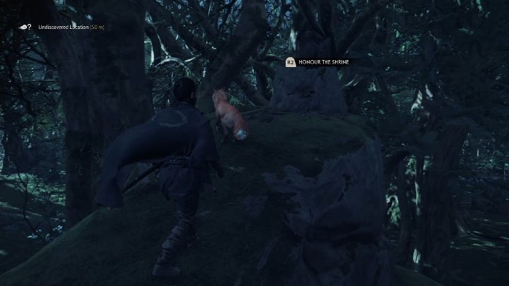 Tę lisią norę znajdziesz przy ogromnej skalistej górze - Ghost of Tsushima: Toyotama - kapliczki Inari, sekrety, znajdźki - Ghost of Tsushima - poradnik do gry