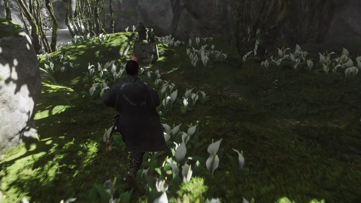 Tę lisią norę znajdziesz w środku lasu - Ghost of Tsushima: Toyotama - kapliczki Inari, sekrety, znajdźki - Ghost of Tsushima - poradnik do gry