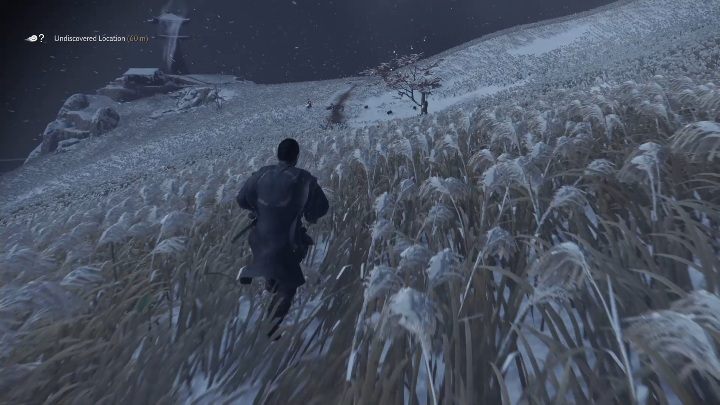 Lisia nora znajduje się pośrodku łąki - Ghost of Tsushima: Kamiagata - kapliczki Inari, sekrety, znajdźki - Ghost of Tsushima - poradnik do gry