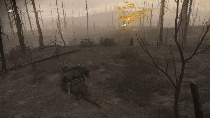 Tę lisią norę znajdziesz pośrodku spalonej części Bezkresnego Lasu - Ghost of Tsushima: Kamiagata - kapliczki Inari, sekrety, znajdźki - Ghost of Tsushima - poradnik do gry