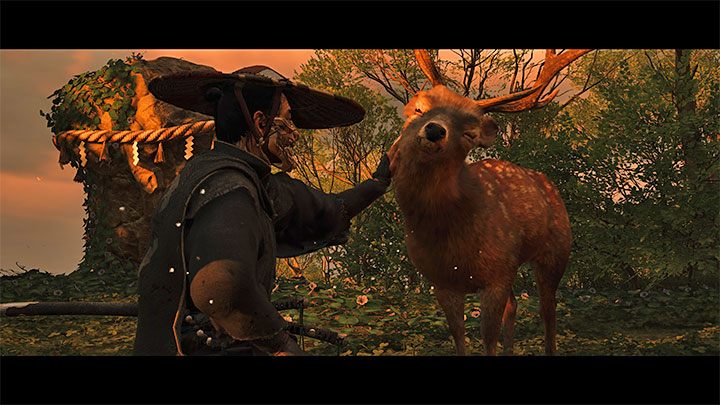 2) Jelenie - Ghost of Tsushima Iki Island: Jak oswajać zwierzęta? - Ghost of Tsushima - poradnik do gry