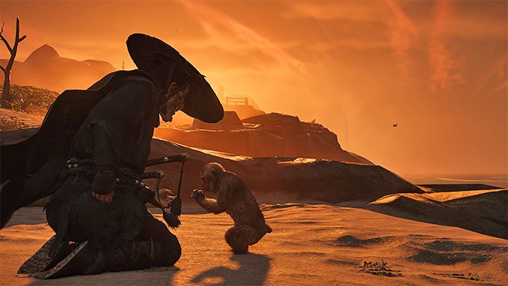 3) Małpki - Ghost of Tsushima Iki Island: Jak oswajać zwierzęta? - Ghost of Tsushima - poradnik do gry