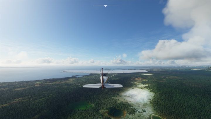 1 - Flight Simulator: Zwierzęta - jak znaleźć? - Microsoft Flight Simulator 2020 - poradnik do gry