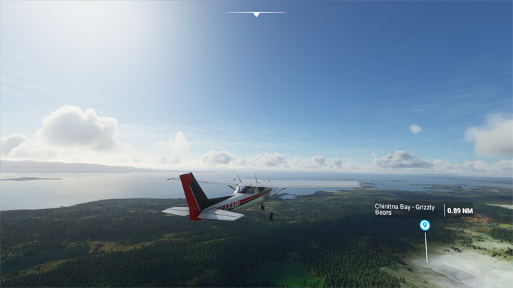 2 - Flight Simulator: Zwierzęta - jak znaleźć? - Microsoft Flight Simulator 2020 - poradnik do gry