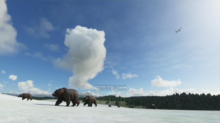 3 - Flight Simulator: Zwierzęta - jak znaleźć? - Microsoft Flight Simulator 2020 - poradnik do gry