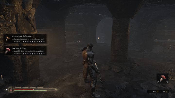 W dalszym pomieszczeniu napotkasz dwóch Noctivagu oraz Slave of Scorn - Mortal Shell: Crypt of Martyrs solucja, opis przejścia - Mortal Shell - poradnik do gry