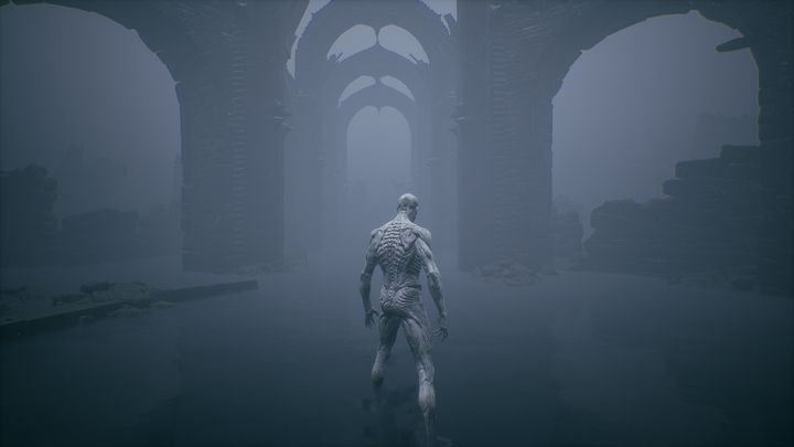 Gdy twoja postać wstanie, idź prosto przed siebie - Mortal Shell: Tutorial solucja, opis przejścia - Mortal Shell - poradnik do gry