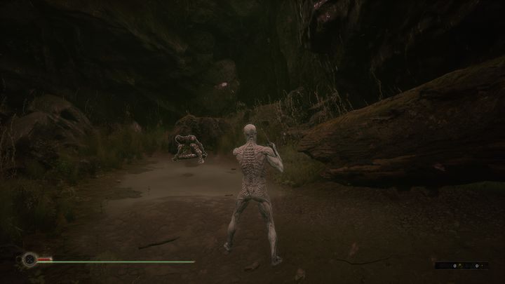 Shell Harros jest tak naprawdę bardzo dobrze zbalansowaną klasą pod względem życia, staminy oraz resolve - Mortal Shell: Shells - Mortal Shell - poradnik do gry