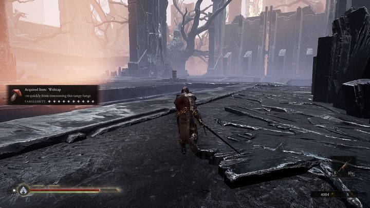 Znajdziesz tam pierwszy płonący monument - Mortal Shell: Seat of Infinity solucja, opis przejścia - Mortal Shell - poradnik do gry