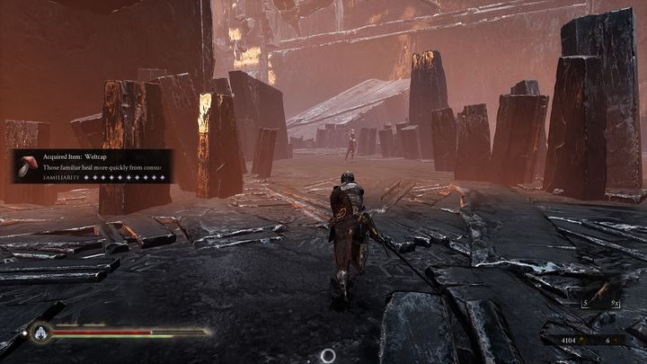 Napotkasz tam kolejne Sester - Mortal Shell: Seat of Infinity solucja, opis przejścia - Mortal Shell - poradnik do gry