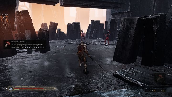 Pokonaj widoczne na zdjęciu Sester of the Order oraz Sublime Sester, która znajduje się po lewej stronie - Mortal Shell: Seat of Infinity solucja, opis przejścia - Mortal Shell - poradnik do gry