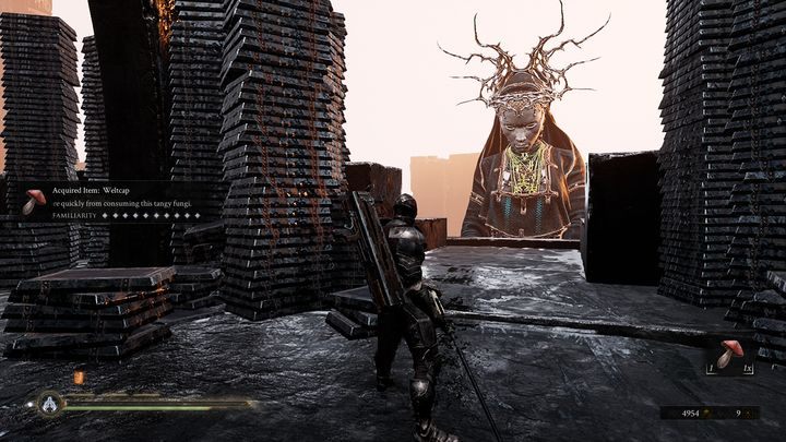 Znajduje się tam dużej wielkości Sester Genessa - Mortal Shell: Seat of Infinity solucja, opis przejścia - Mortal Shell - poradnik do gry