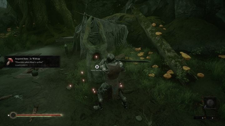 Po prawej stronie od grzybów znajdziesz obozowisko, w którym jest pierwsza inskrypcja, pozwoli ci ona w mniejszym stopniu zapoznać się z fabułą - Mortal Shell: Fallgrim solucja, opis przejścia - Mortal Shell - poradnik do gry