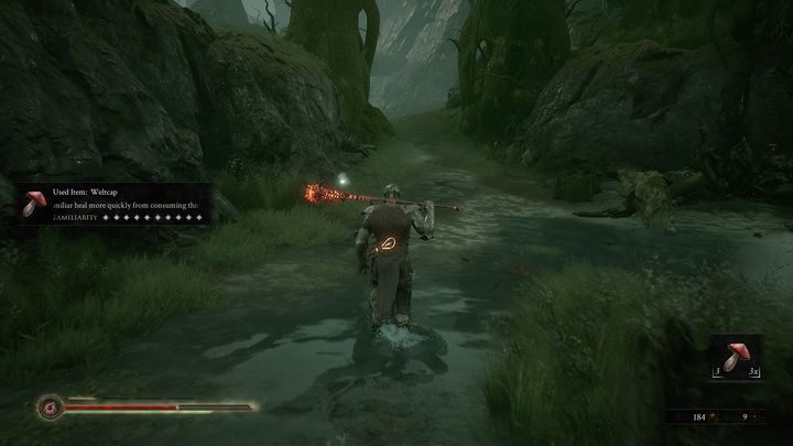 Pamiętaj, że po pewnym czasie grzyby się odnawiają, przez co możesz podnieść je ponownie - Mortal Shell: Fallgrim solucja, opis przejścia - Mortal Shell - poradnik do gry