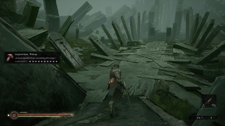 Mostu pilnuje rycerz z halabardą - Mortal Shell: Fallgrim solucja, opis przejścia - Mortal Shell - poradnik do gry