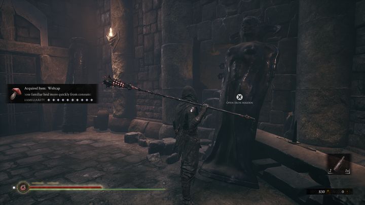 Po prawej stronie natkniesz się na Żelazną Dziewicę, otwórz ją i zdobądź Glimpse of Futility - Mortal Shell: Shrine of Ash solucja, opis przejścia - Mortal Shell - poradnik do gry