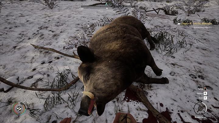 Polowanie to jedna z najbardziej istotnych czynności w Medieval Dynasty - Medieval Dynasty: Polowanie - porady - Medieval Dynasty - poradnik do gry