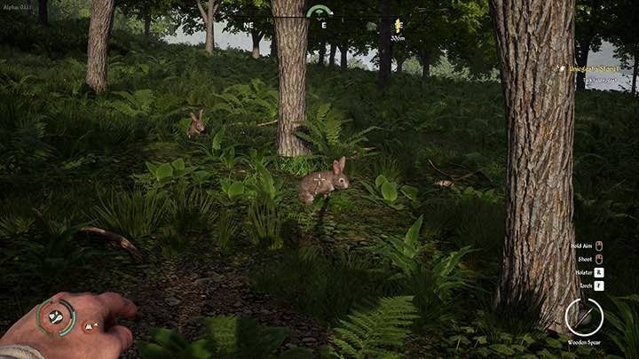 Wciśnij lewy przycisk myszy, by rzucić włócznią - Medieval Dynasty: Polowanie - porady - Medieval Dynasty - poradnik do gry
