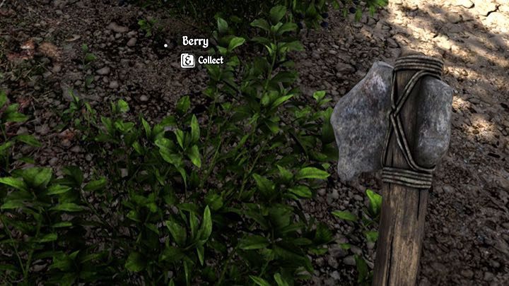 Drewniane włócznie (Wooden Spear) to na początku podstawowe narzędzie do polowania - Medieval Dynasty: Porady na start - Medieval Dynasty - poradnik do gry