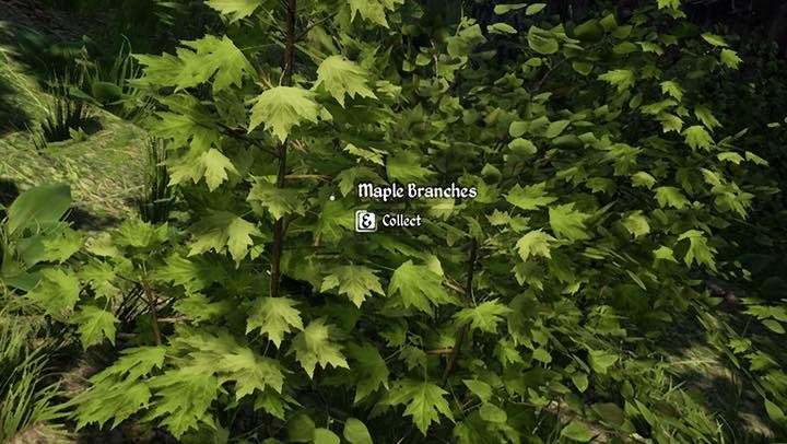 Nieco trudniej znaleźć kamienie (rocks) - Medieval Dynasty: Siekiera - jak zrobić? - Medieval Dynasty - poradnik do gry