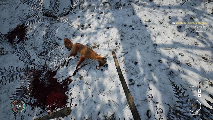 1 - Medieval Dynasty: Lisy - gdzie znaleźć? - Medieval Dynasty - poradnik do gry