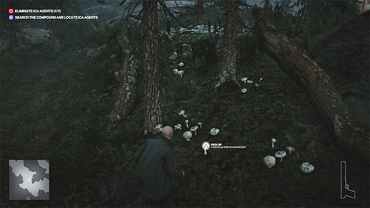 Trujący grzyb (Poisonous Mushroom) działa identycznie do trutki do szczury - Hitman 3: Trucizna - jak zdobyć? - Hitman 3 - poradnik, solucja