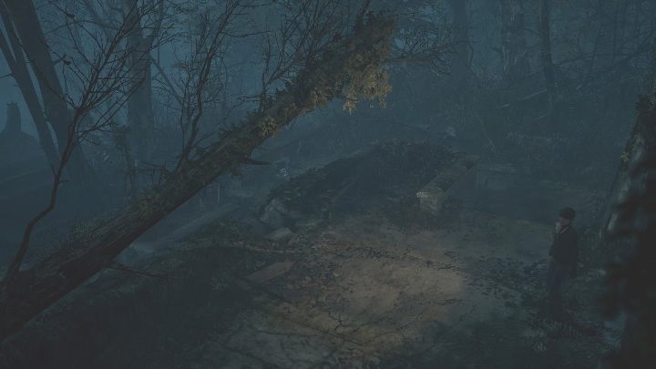 W tej części gry powrócisz do głównej postaci - The Medium: Park krajobrazowy - solucja, opis przejścia - The Medium - poradnik do gry