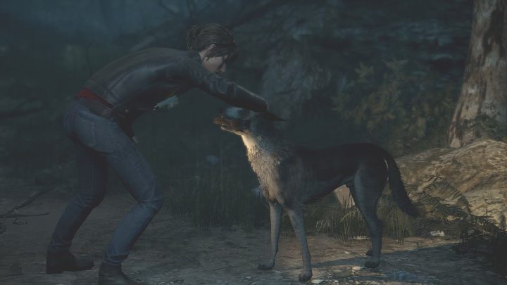 W krótkim filmiku poznasz psa, który poprowadzi Cię dalej - The Medium: Park krajobrazowy - solucja, opis przejścia - The Medium - poradnik do gry