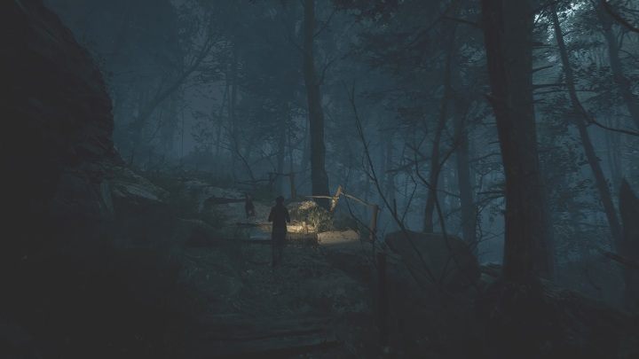 Pies będzie na Ciebie czekać jeśli tylko będzie rozglądać się po okolicy - The Medium: Park krajobrazowy - solucja, opis przejścia - The Medium - poradnik do gry